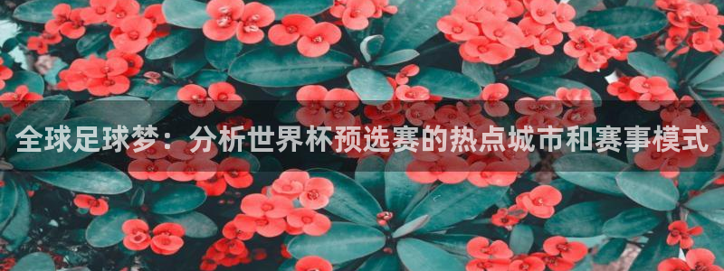 世界杯比赛:全球足球梦:分析世界杯预选赛的热点城市和赛事模式