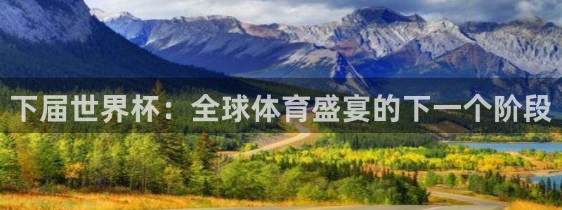 世界杯在线直播:下届世界杯:全球体育盛宴的下一个阶段