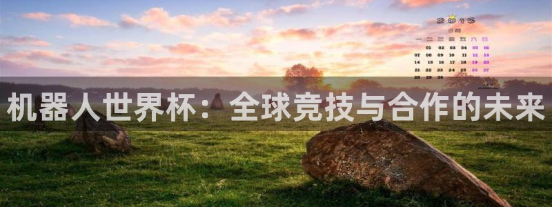 世界杯直播高清:机器人世界杯:全球竞技与合作的未来
