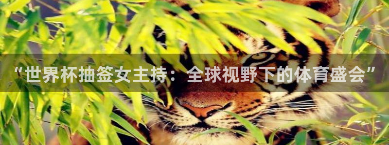 世界杯预选赛规则:“世界杯抽签女主持:全球视野下的体育盛会”