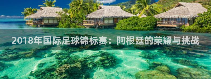 2026世界杯赛制:2018年国际足球锦标赛:阿根廷的荣耀与挑战