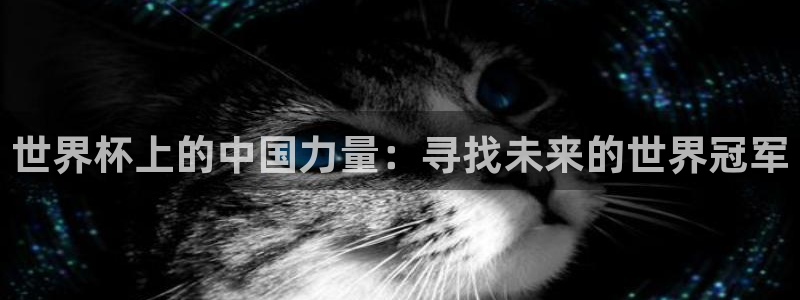 2026年足球世界杯赛程时间表:世界杯上的中国力量:寻找未来的世界冠军