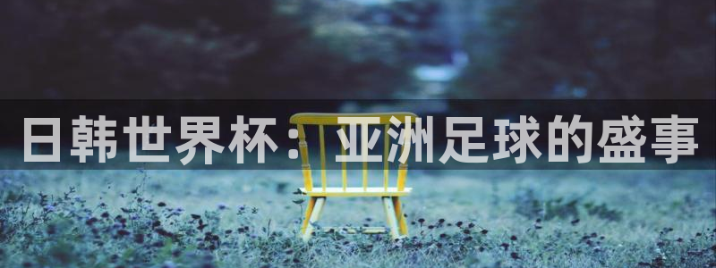 男足世界杯预选赛赛程:日韩世界杯:亚洲足球的盛事